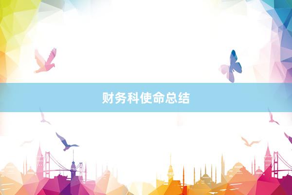 财务科使命总结